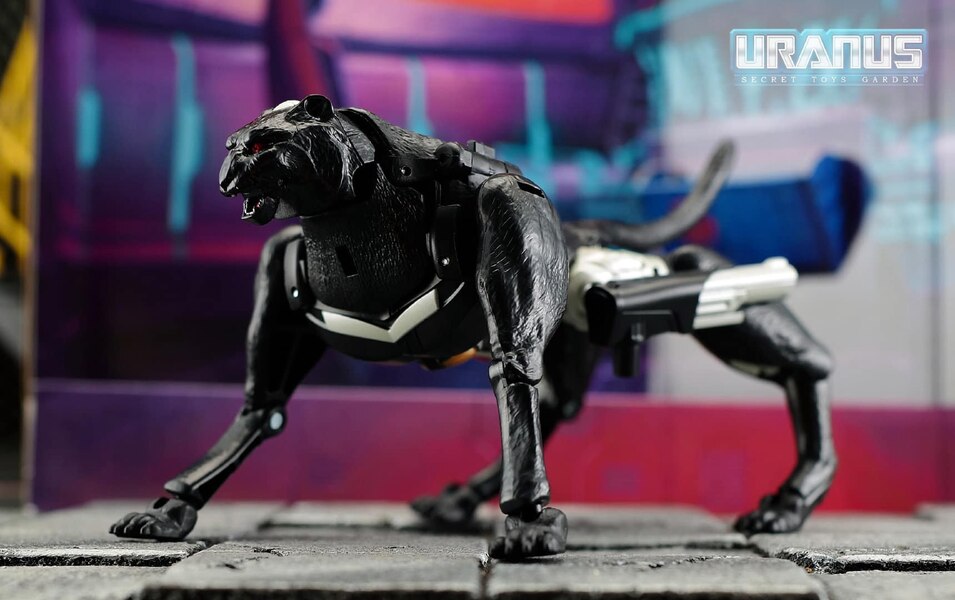 MORE Transformers Agent Ravage Images Cheetor Compared  (25 of 67)